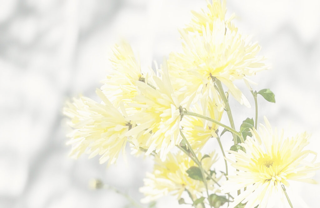 もっちゃんラボ | ソマティック・エクスペリエンシング・プラクティショナー(SEP)/臨床心理士/公認心理師/保有のもっちゃんが、スクールカウンセラー歴22年/養護施設心理療法担当職員歴10年の経験を元にSEとパーツ心理学を用いる心理療法でトラウマケア|身体に刻まれたトラウマを、安心の中で癒す